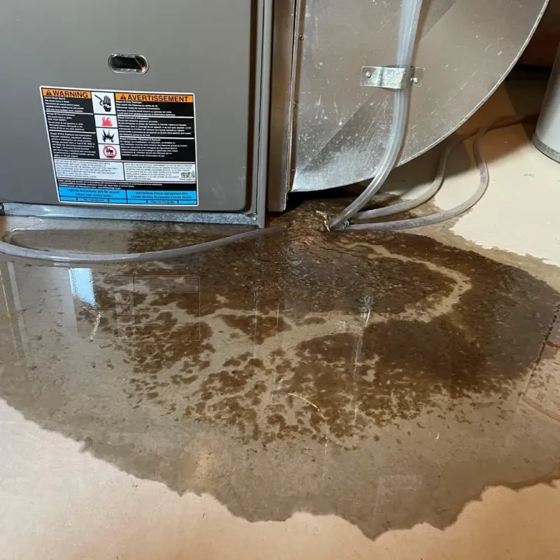 Appliance Leak Cleanup in Talladega, AL